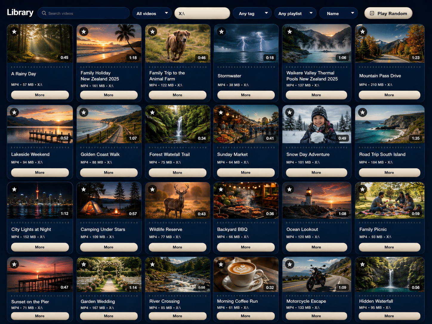 LocalStream library view showing search, filters, video cards, and a broad browsable collection.