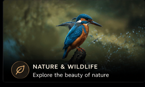 Blue and orange bird perched near water in a natural setting.